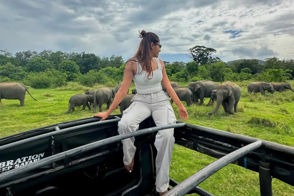 Private Minneriya National Park evening safari near elephant habitats