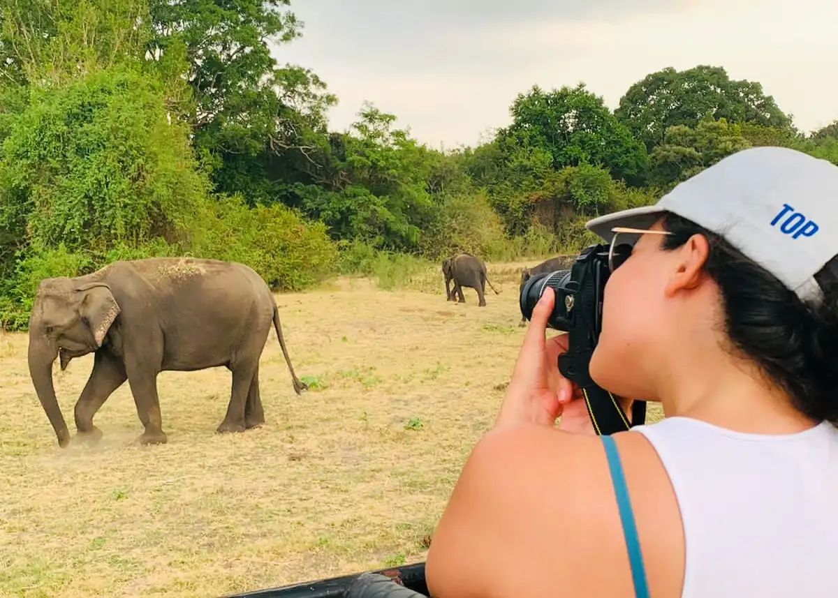 Hurulu Eco Park Safari – Complete Guide, Price & Best Time