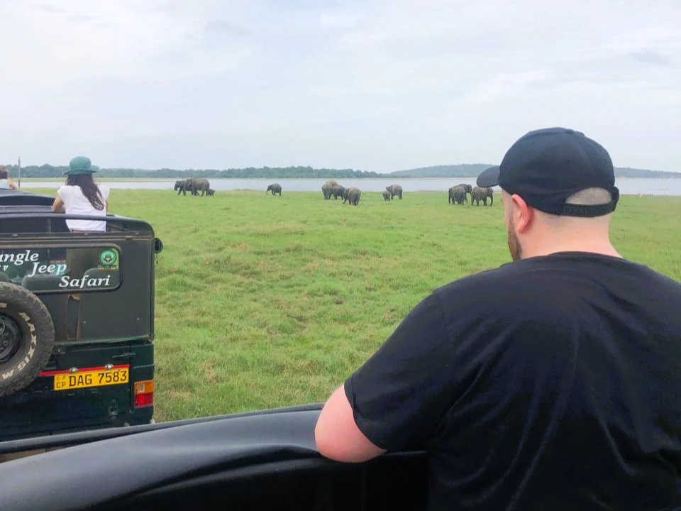 Kaudulla National Park Safari: Price & Best Time