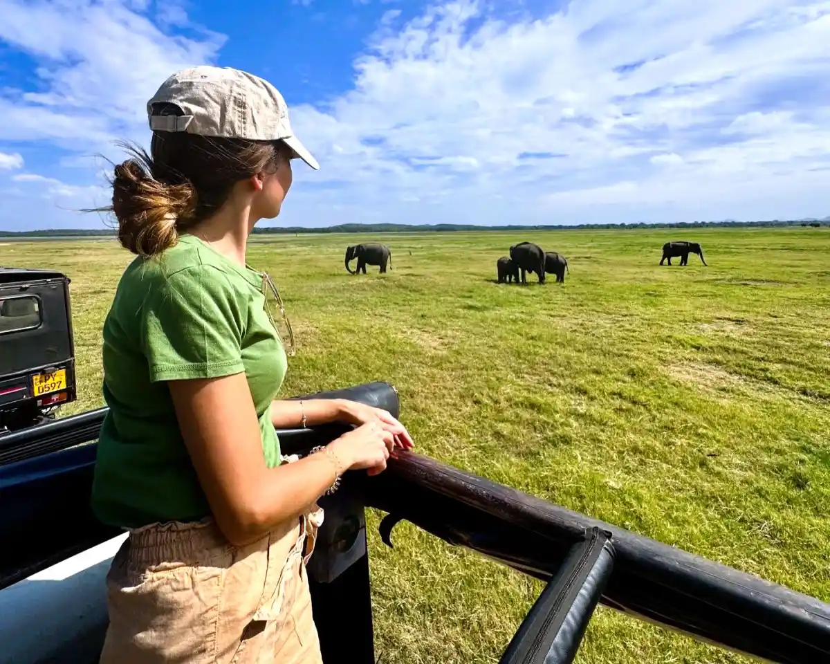 Kaudulla National Park Morning Safari private jeep safari