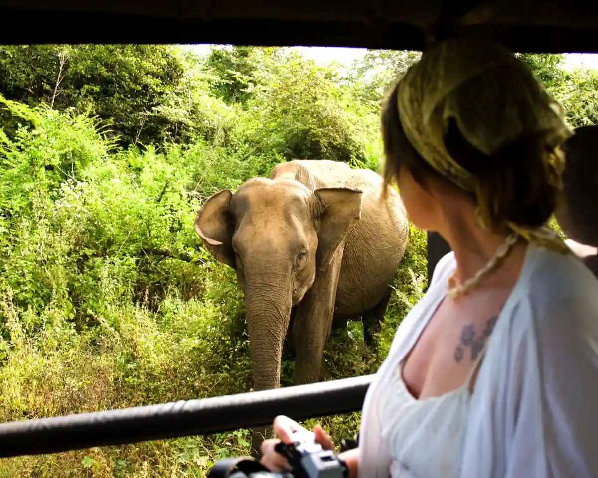 Udawalawe National Park Morning Safari all-inclusive private jeep safari
