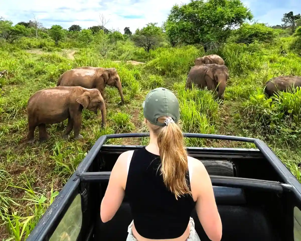 Hurulu Eco Park Morning Safari private jeep safari
