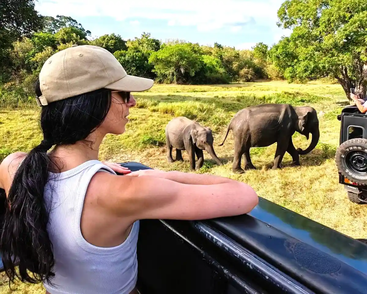 Kaudulla National Park Evening Safari private jeep safari