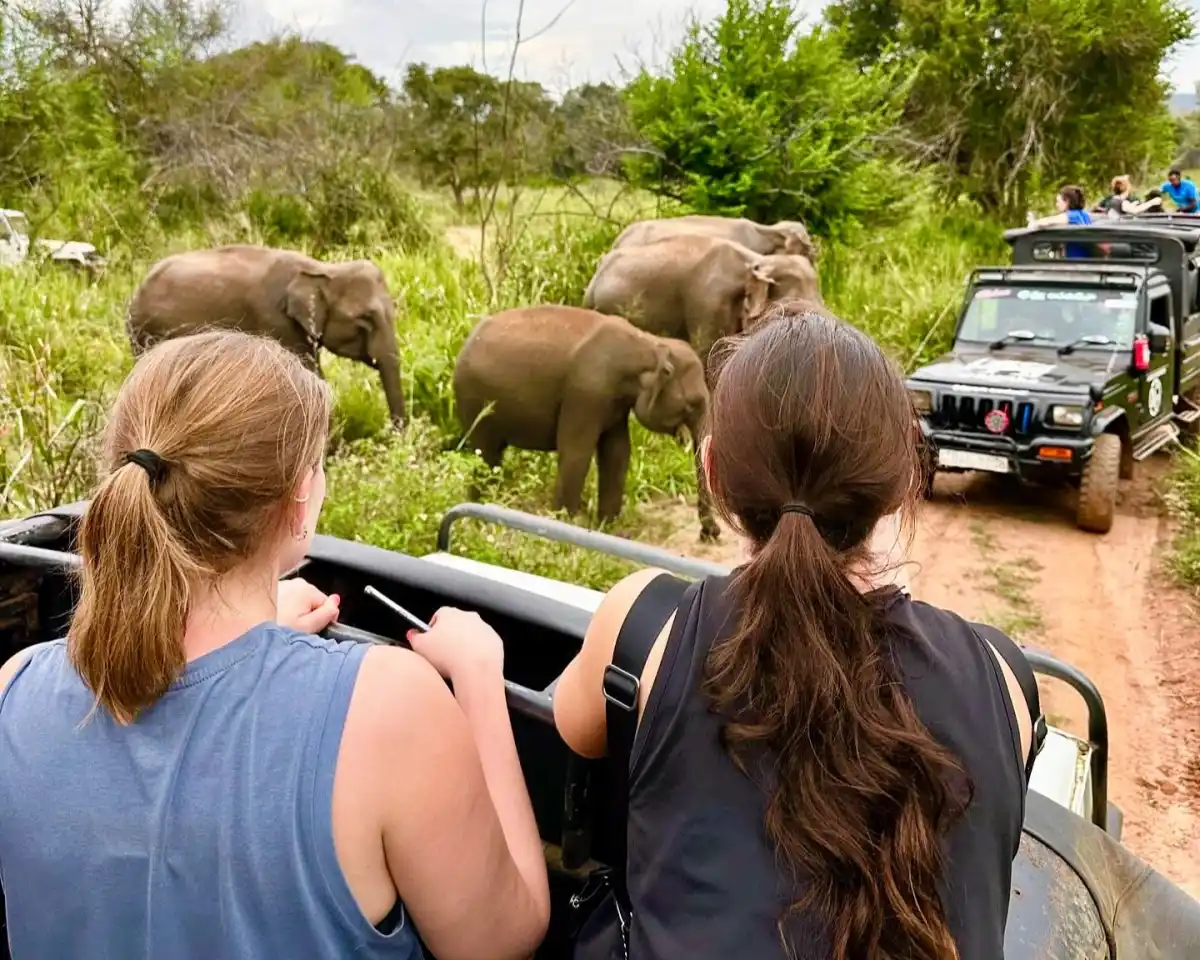 Udawalawe National Park Evening Safari all-inclusive private jeep safari