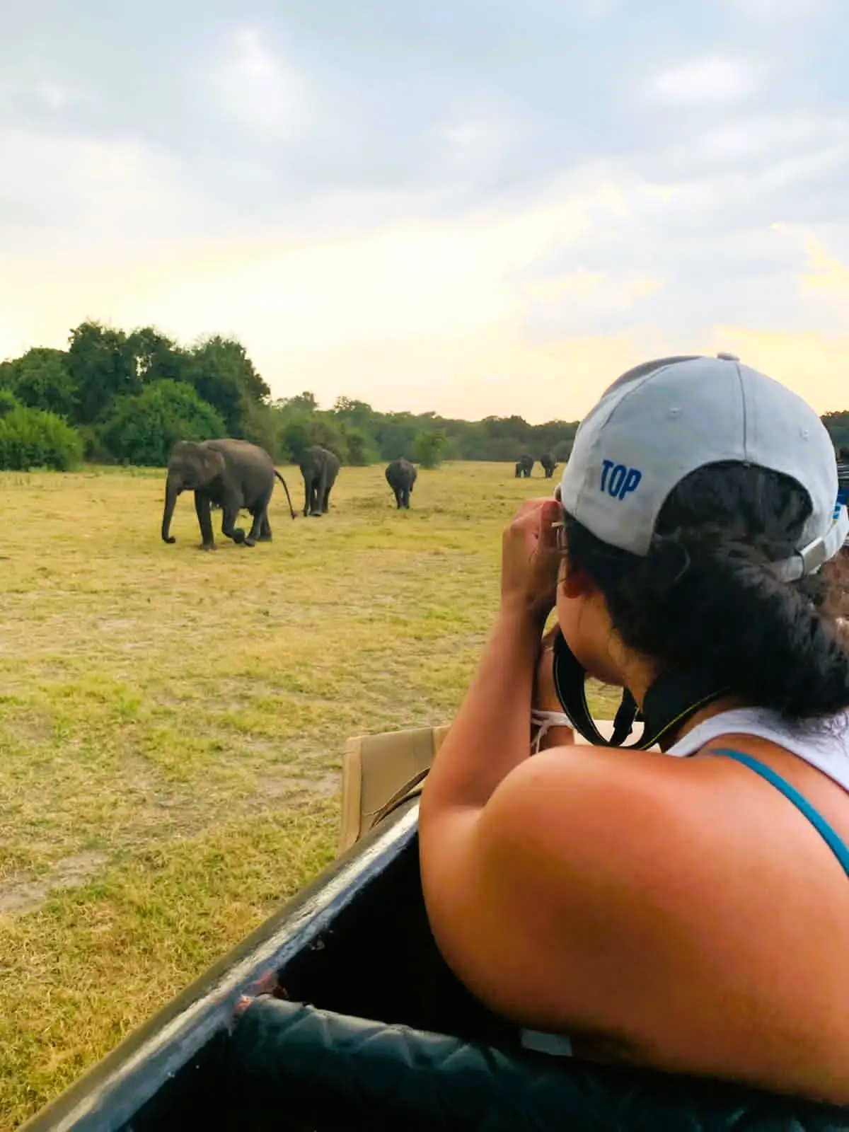 Wild elephant safari experience in Minneriya National Park, Sri Lanka