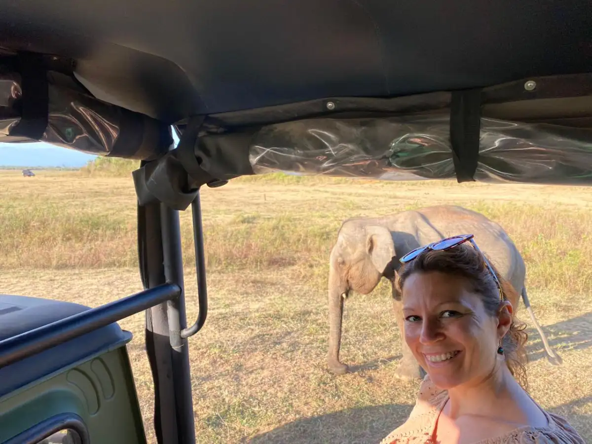 Sigiriya · Ella · Udawalawe – Best of Sri Lanka Tour
